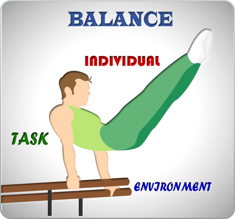 Workshop on Multi-Factorial Balance Dysfunction - Sarojini E-Learning